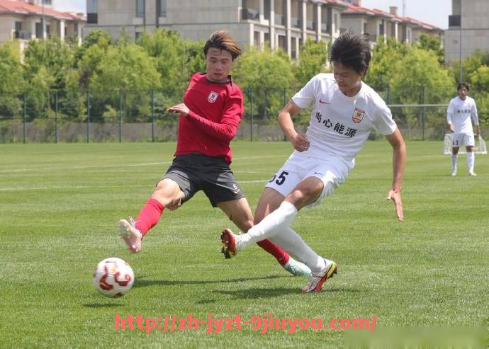 jiuyou九游娱乐-世俱杯场地草坪质量评估，场地条件对比赛发挥的影响